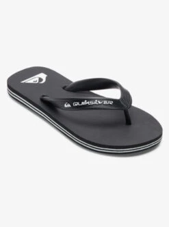 Quiksilver Boy's 8-16 Molokai Core Flip-Flops