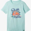 Quiksilver Boy's 8-16 Vintage Feel T-Shirt