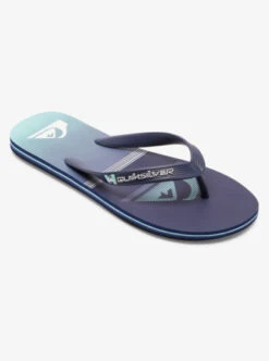 Quiksilver Molokai Swell Vision Flip-Flops