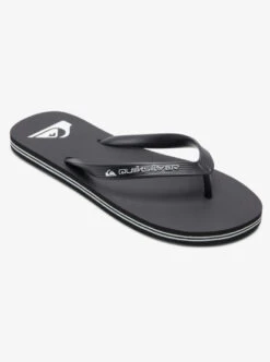 Quiksilver Molokai Core Flip-Flops