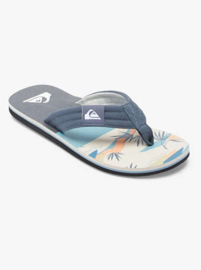 Quiksilver Molokai Layback Sandals For Men
