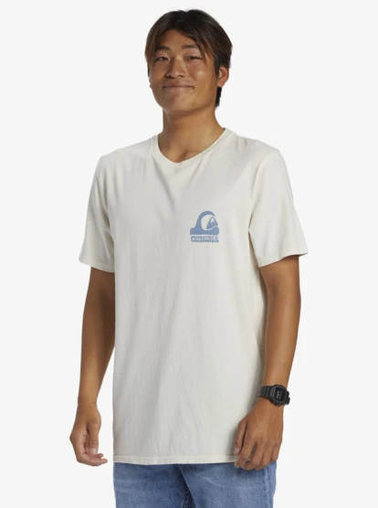 Quiksilver Andy Y Andy T-Shirt - Image 2