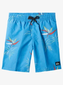 Quiksilver Boy's 8-16 Everyday Mix 15" Volleys