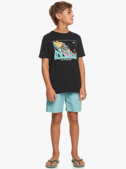 Quiksilver Boy's 8-16 Taxer 15" Elastic Waist Shorts - Image 5