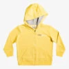 Quiksilver Boy's 2-7 Retro Risks Zip-Up Hoodie