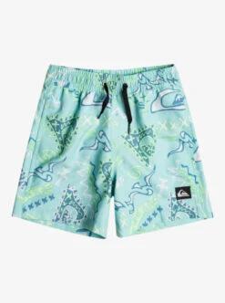 Quiksilver Boy's 2-7 Next Gen 12" Volleys