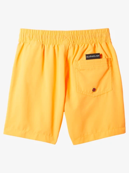 Quiksilver Boy's 2-7 Everyday Vert 12" Volleys - Image 2