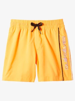 Quiksilver Boy's 2-7 Everyday Vert 12" Volleys