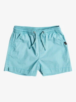 Quiksilver Boy's 2-7 Taxer Elastic Waist Shorts
