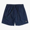 Quiksilver Everyday 17" Volleys For Young Men
