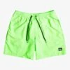 Quiksilver Everyday 17" Volleys For Young Men