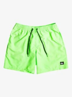 Quiksilver Everyday 17" Volleys For Young Men
