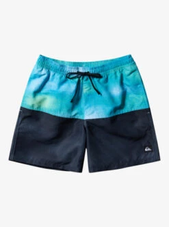 Quiksilver Butt Logo 17" Volleys