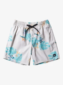 Quiksilver Everyday Mix 17" Volleys