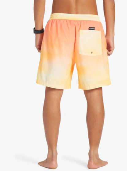 Quiksilver Everyday Breeze 17" Volleys - Image 8