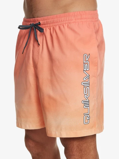 Quiksilver Everyday Breeze 17" Volleys - Image 4