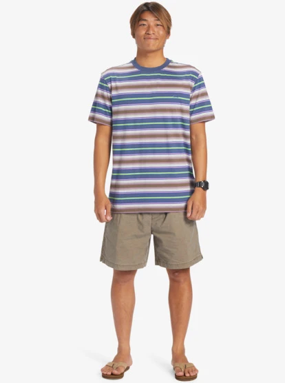 Quiksilver Geller Stripe T-Shirt - Image 6