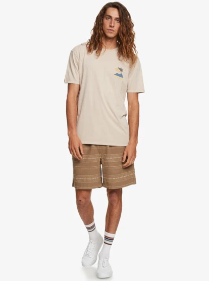 Quiksilver Taxer Jacquard Shorts - Image 5