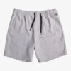 Quiksilver Ocean Elastic Waist 18" Amphibian Shorts