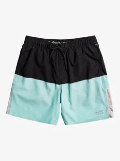 Quiksilver Omni 17" Training Shorts