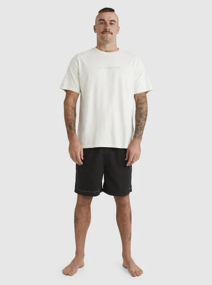 Quiksilver Mikey T-Shirt - Image 4